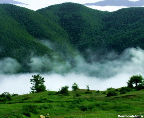 عکس از جنگل ابر در شاهرود