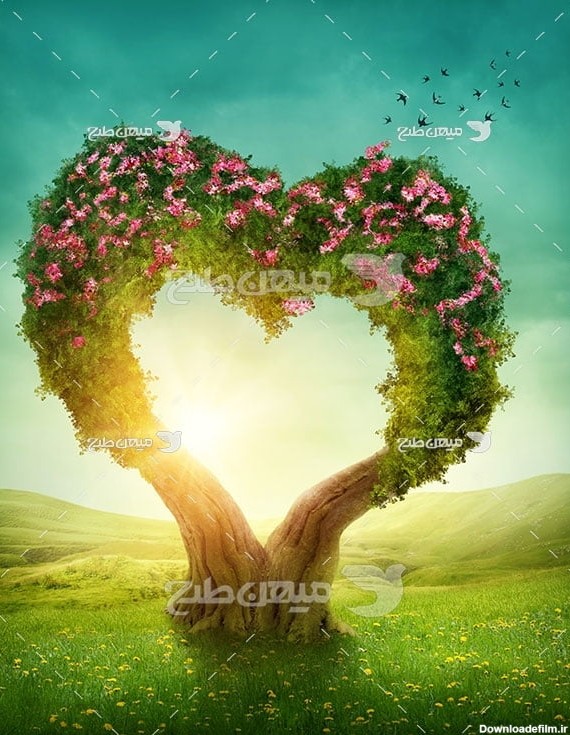 عکس درخت پر گل شکل قلب