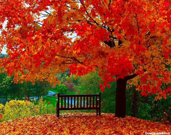 عکس های بسیار زیبا از فصل پاییز - مهین فال