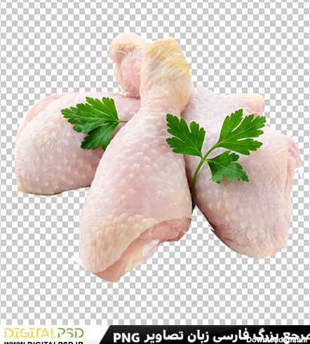 دانلود عکس با کیفیت گوشت مرغ – دیجیتال پی اس دی | DigitalPSD
