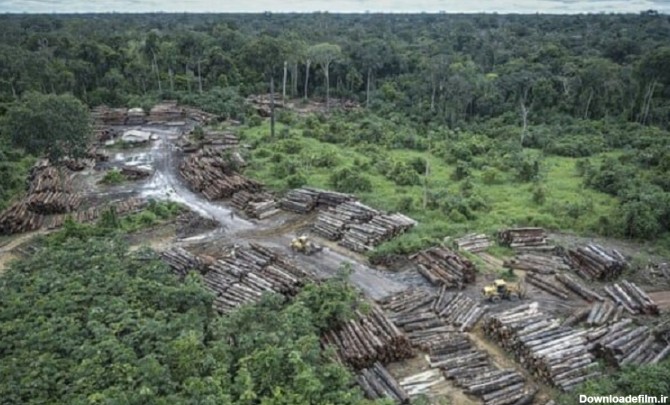 برزیل خواستار کمک برای کاهش جنگل زدایی در آمازون - تابناک | TABNAK