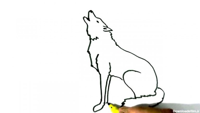نقاشی گرگ کودکانه با روش ساده - Kids TV - تماشا