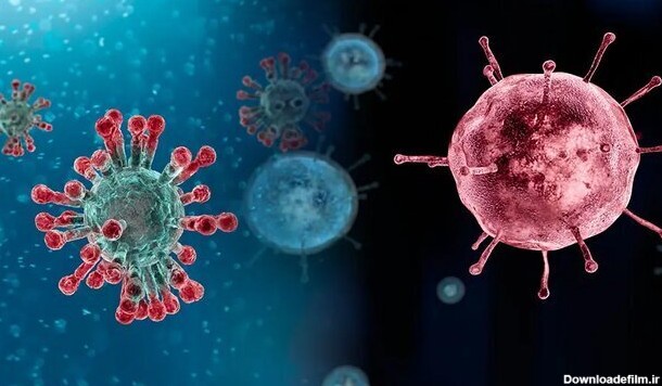 ببینید  | خبر تازه صدا و سیما درباره ویروس‌های جدید!