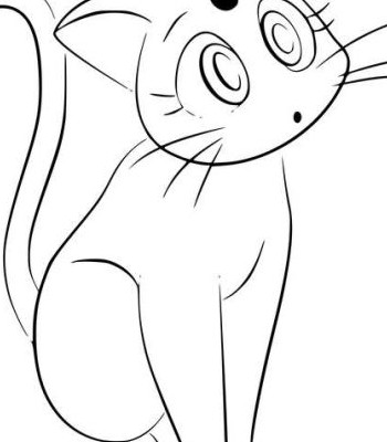 ایده نقاشی گربه از انیمه ملوان ماه