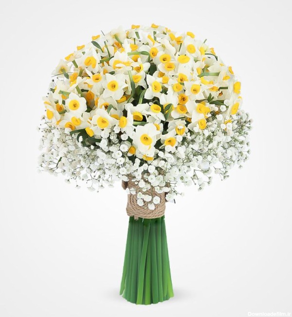 سفارش و خرید آنلاین دسته گل نرگس عروس سفید | گل فروشی آنلاین گل بازار
