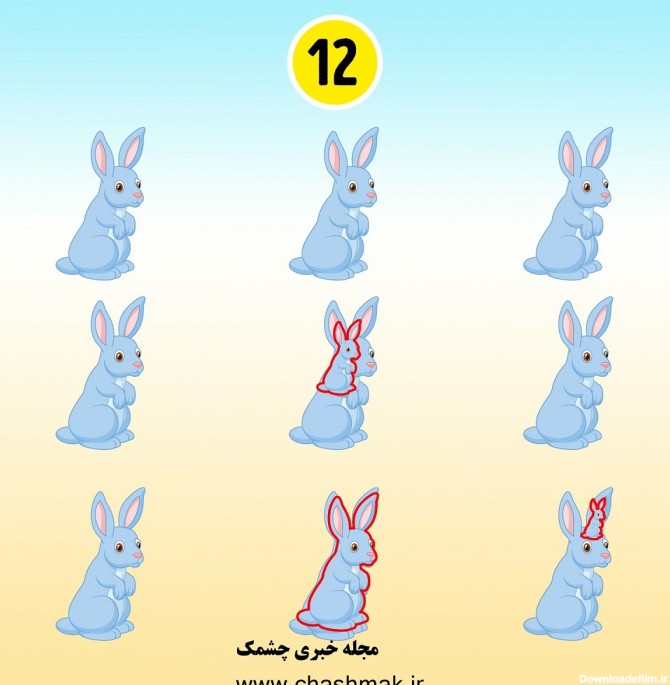 پاسخ تست قدرت بینایی با تعداد خرگوش