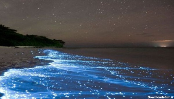 ساحل شب تاب، امواج نورانی و موج های درخشان در دنیا!