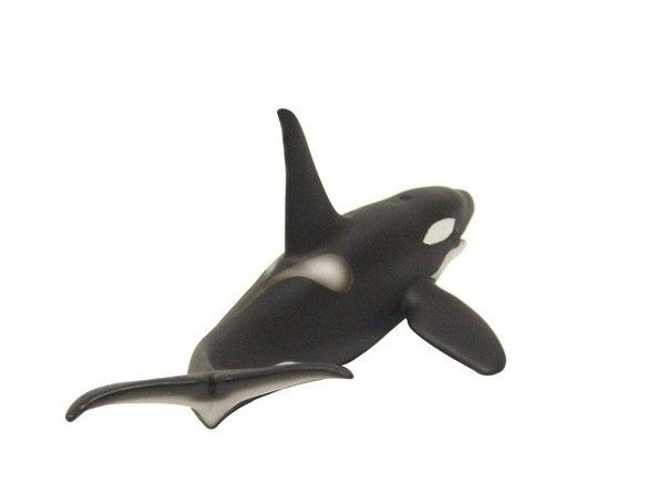نهنگ قاتل, image 4