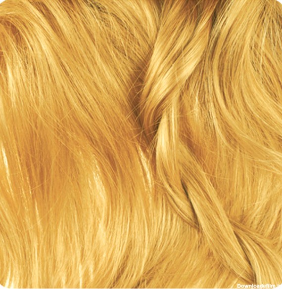 بیول | رنگ موی بیول - بلوند عسلی خیلی روشن - 9.34