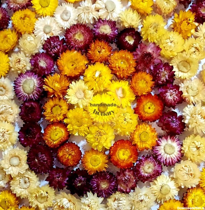 گل مینا - فروشگاه اینترنتی گل خشک و ملزومات هنری