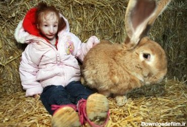 آخرین خبر | عکس/ کوچکترین دختر دنیا کنار بزرگترین خرگوش