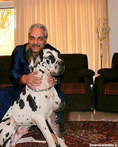 سگ غول پیکر و گران قیمت در خانه لاکچری مهران مدیری + عکس