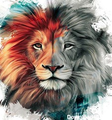lion wallpaper for Android - Download | Bazaar