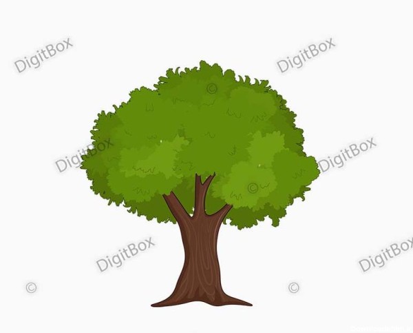 دانلود عکس درخت سبز کارتونی - دیجیت باکس - DigitBox