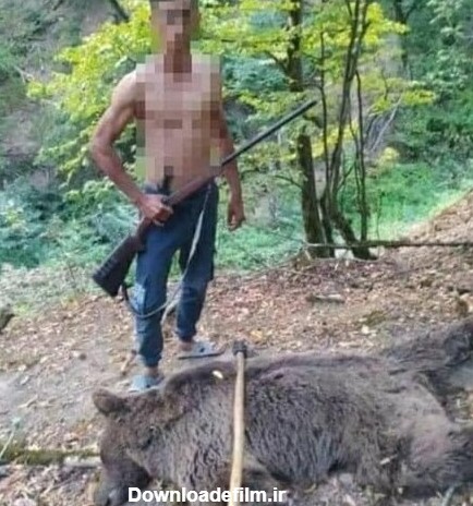 شکارچی خرس‌ در جنگل رامیان دستگیر شد/ عکس - خبرآنلاین