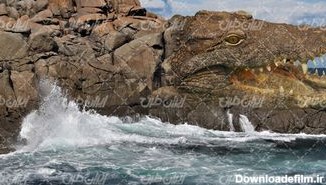 تصویر با کیفیت منظره زیبای دریا همراه با صخره و تمساح غول پیکر
