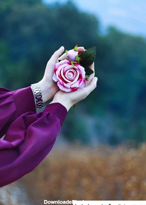 عکس گل زیبا در دست دختر