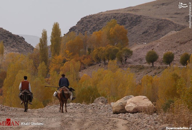 مشرق نیوز - عکس/ طبیعت زیبای پاییز در باغات تبریز