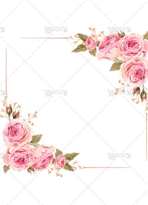 دانلود تصویر فریم گلدار PNG دوربری گل رز صورتی با کیفیت بالا