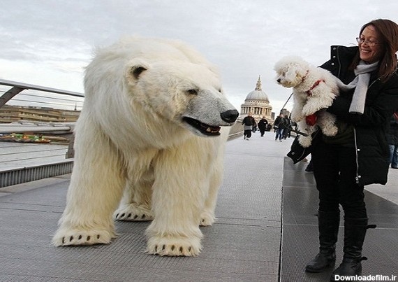 تصاویر/ خرس قطبی در خیابان های لندن!