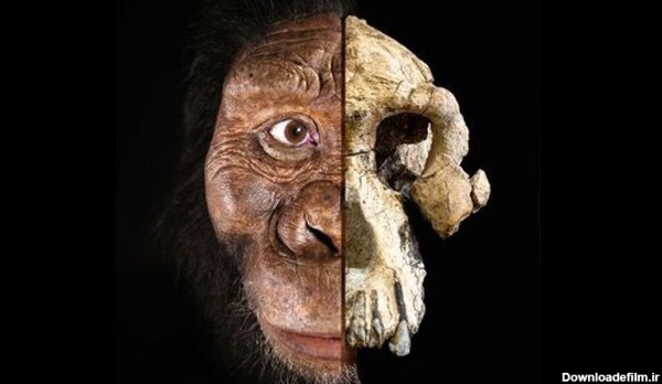 چهره قدیمی‌ترین انسان‌های اولیه رونمایی شد +عکس