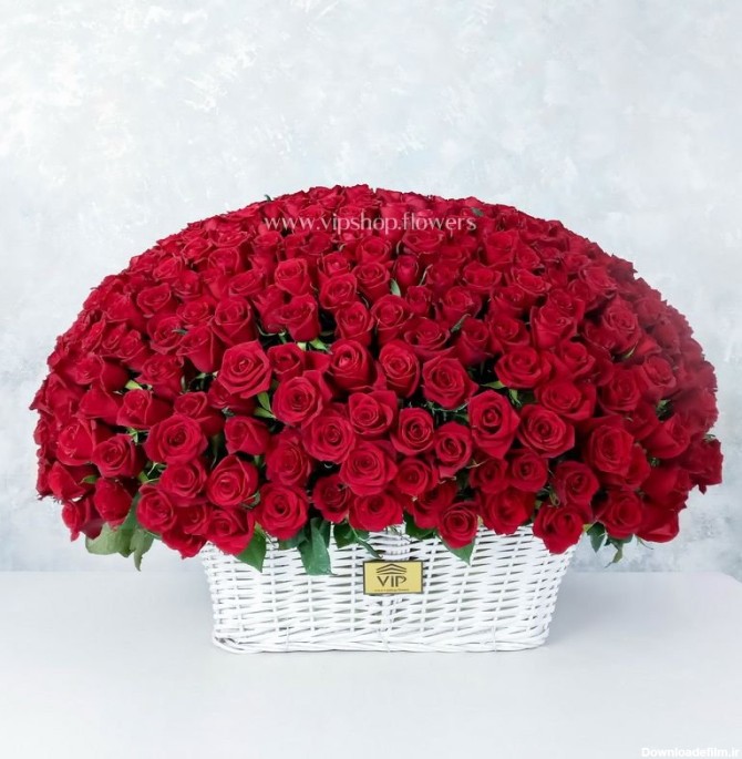 خرید سبد گل بزرگ رز هلندی 400 شاخه ای قرمز + مطابق عکس - VIP