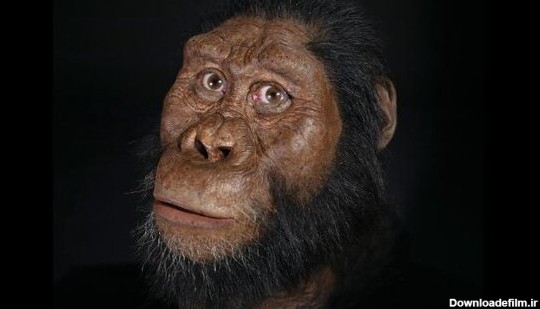 قدیمی‌ترین انسان اولیه چه شکلی بوده است؟! +عکس