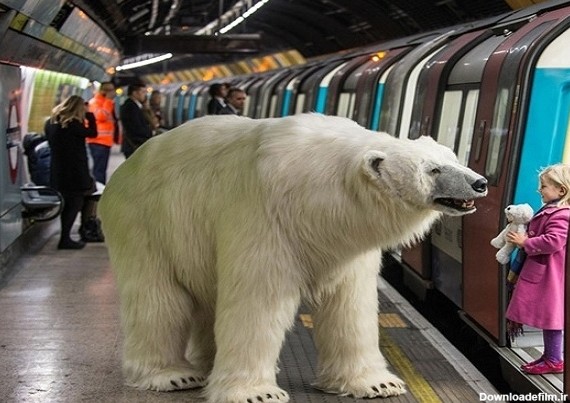 تصاویر/ خرس قطبی در خیابان های لندن!