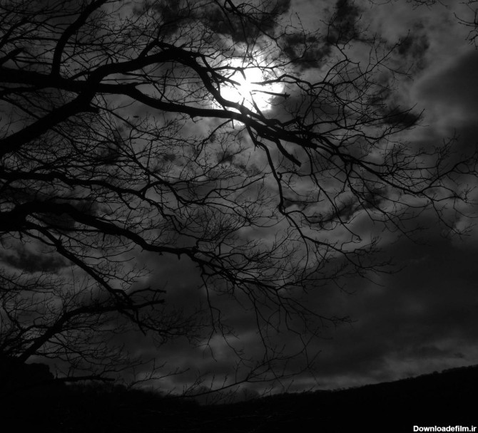عکس زمینه ماه پشت ابر در آسمان شب پس زمینه | والپیپر گرام