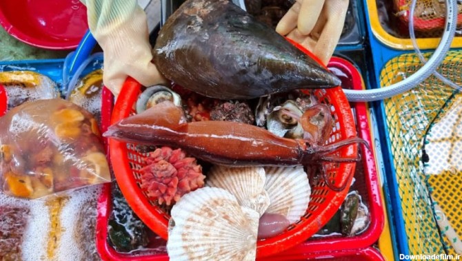 انواع شگفت انگیز غذاهای دریایی کره ای ساشیمی، ، اختاپوس، آبلون - غذای کره ای