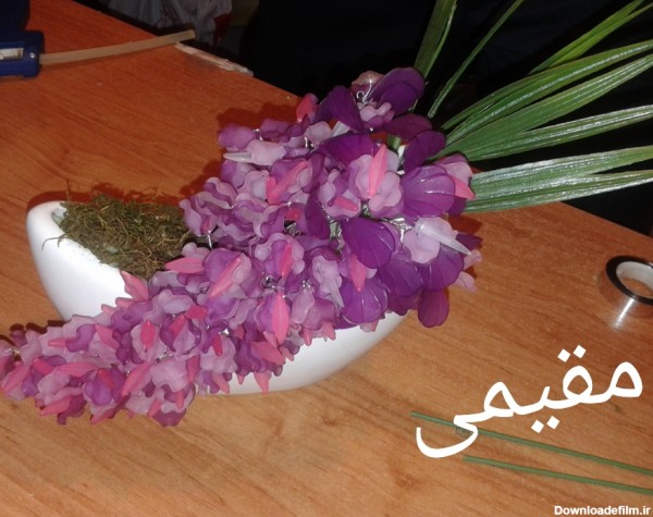 گل اقاقیا کریستال - عکس ویسگون