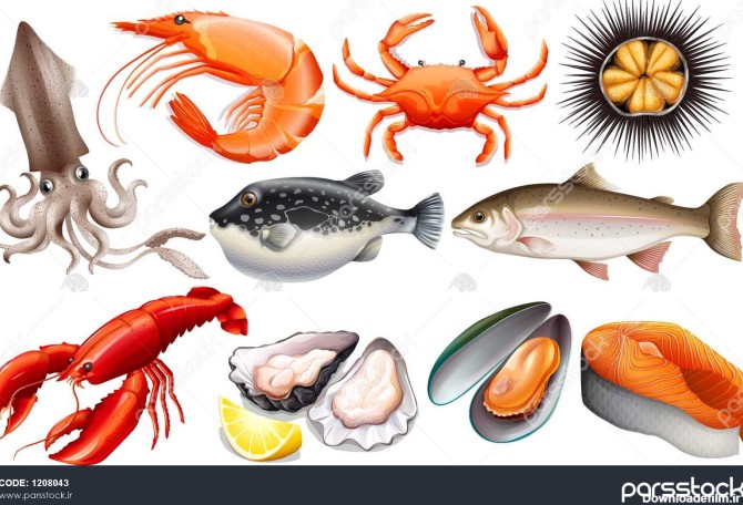 انواع غذاهای دریایی تازه 1208043