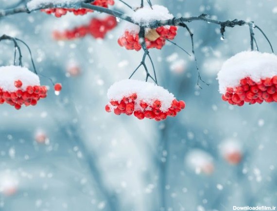 گالری تصاویر تقویم فصل زمستان