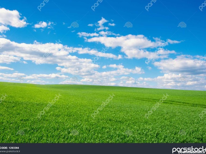 تصویر زمینه چمن سبز و آسمان آبی روشن 1293364