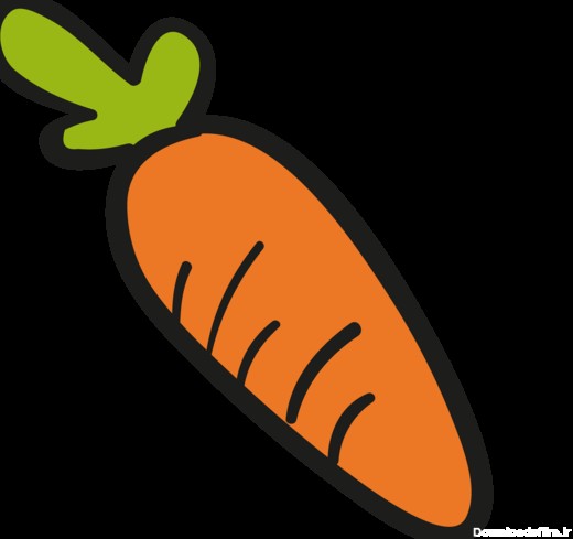 Drawing Carrot PNG – Free Download