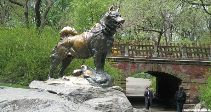 مجسمه بالتو، سگ هاسکی قهرمان در نیویورک