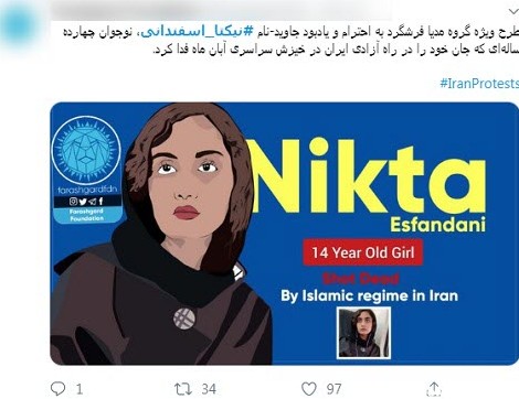 سفیر رژیم صهیونیستی با تصویر دختر ایرانی در مسیر ضدانقلاب/ دروغ ...