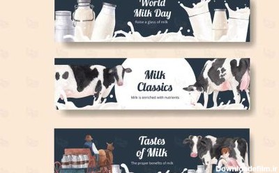 طرح های وکتوری بنر گاو و شیر طبیعی