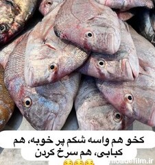 خرید و قیمت ماهی شانک از غرفه ماهی دریا