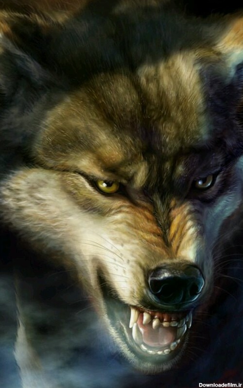 گرگ وحشی - عکس ویسگون