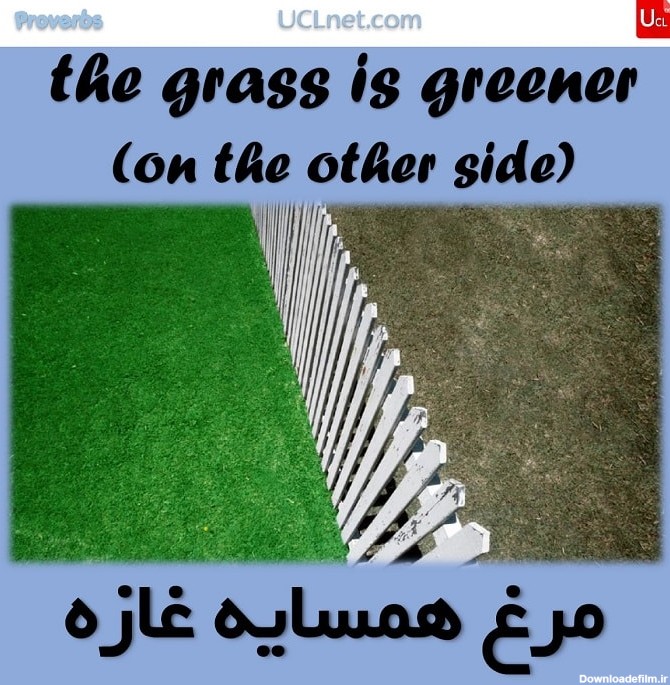 مرغ همسایه غازه – The grass is greener on the other side – ضرب المثل های انگلیسی – English Proverb