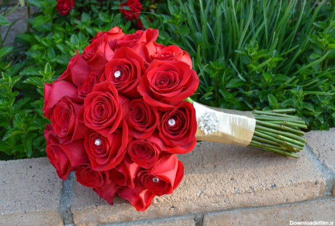 مدل های دسته گل عروسی رز قرمز بسیار زیبا و رمانتیک