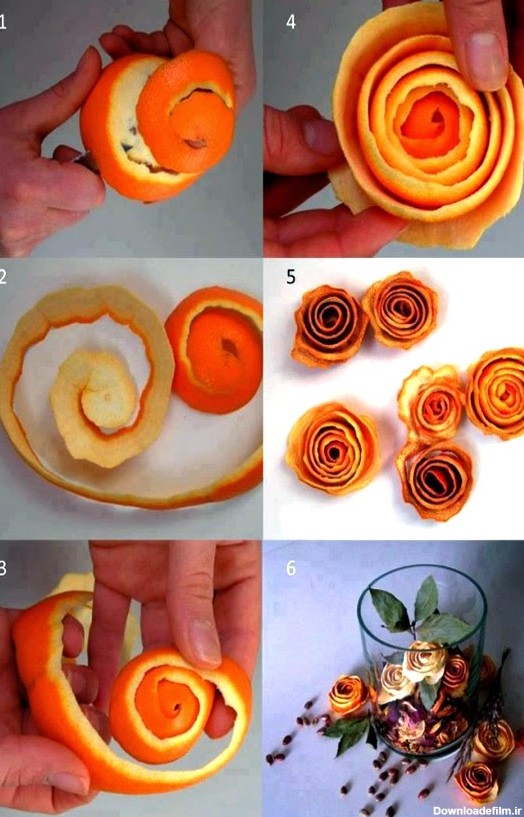 گل رز پرتقالی