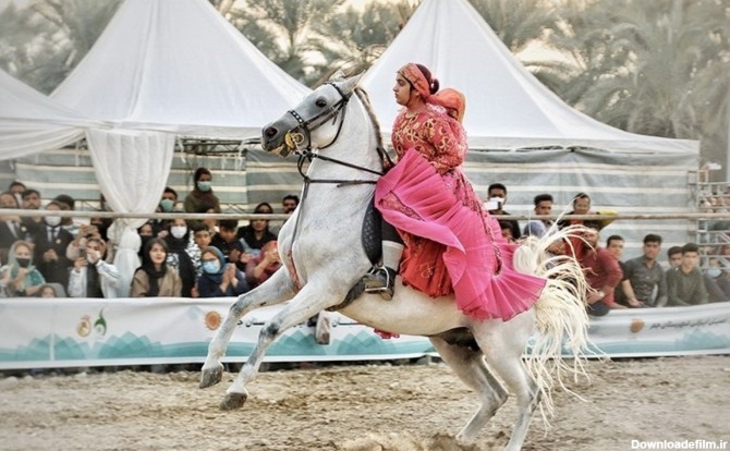 فرارو | (تصاویر) فستیوال اسب اصیل ایرانی