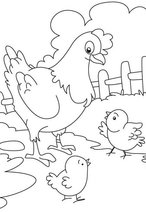 طرح های رنگ آمیزی مرغ و جوجه - پنجره ای به دنیای کودکان