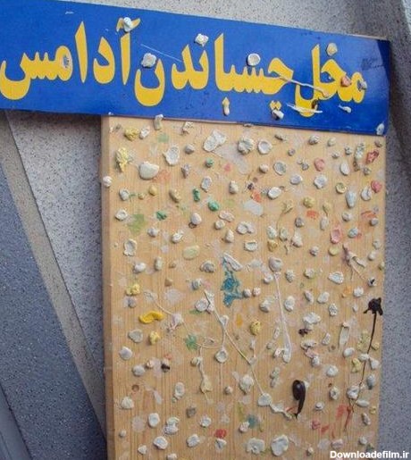 عکس های طنز و خنده دار از سوتی ها و اتفاقات جالب ایرانی - آلبوم تصاویر