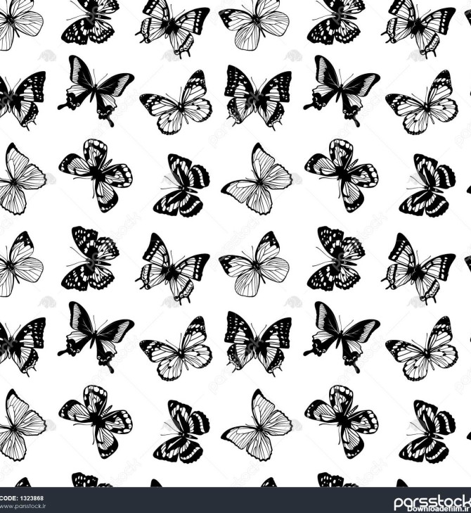 پس زمینه سیاه و سفید پروانه ها پروانه از الگو بدون درز شبح بردار ...