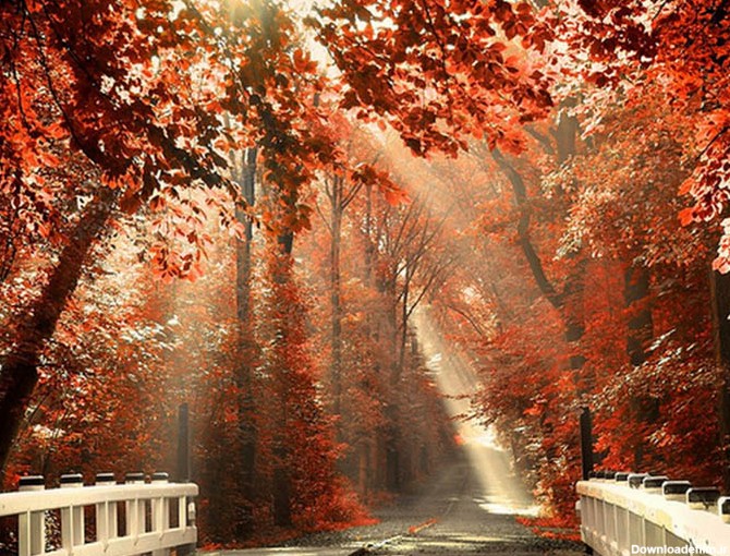 عکس های بسیار زیبا از فصل پاییز - مهین فال