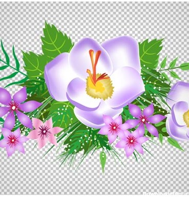 تصویر گل های تزئینی صورتی و بنفش ، دانلود بصورت فایل ترانسپرنت