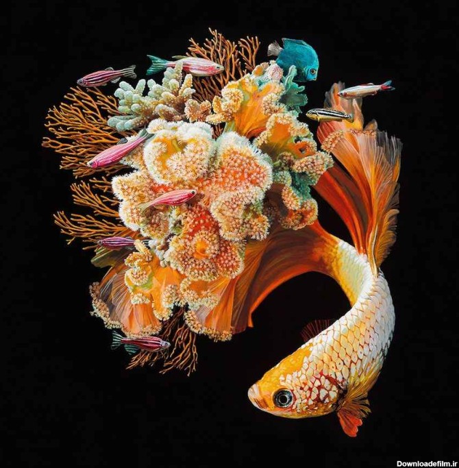 استفاده از کاراکتر ماهی در خلق نقاشی های بینظیر توسط یک هنرمند